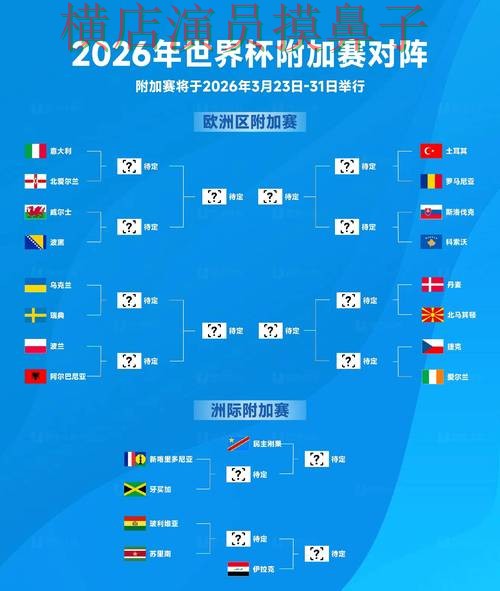 新手必看：世界杯投注入口访问方式+直播详解 + World Cup 2026