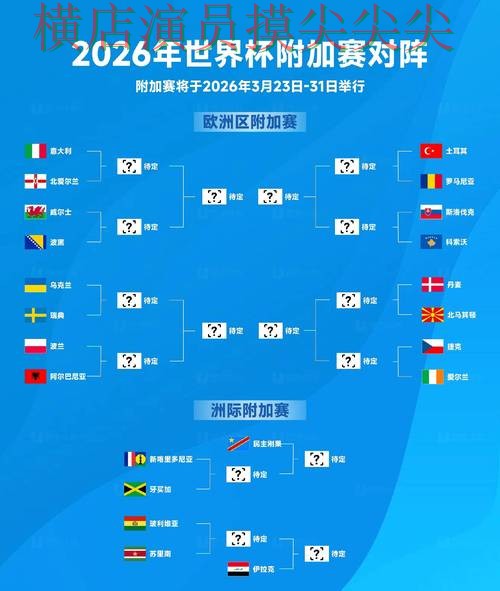 新手必看：世界杯投注网站大全真实体验详解 + FIFA World Cup 2026